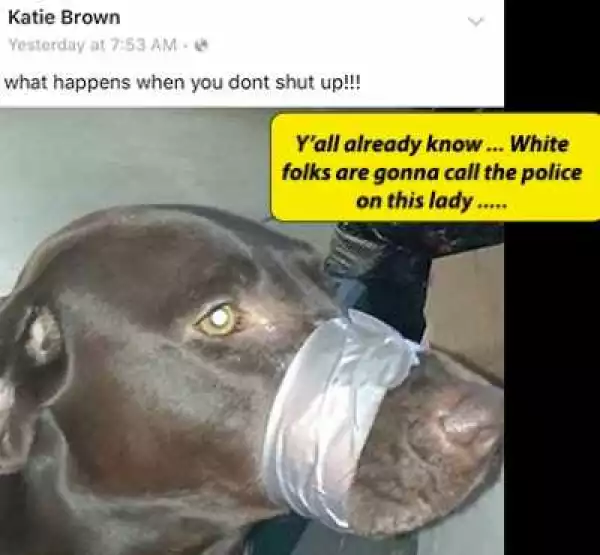 Lady Invited By Police After Posting This Pic Of Her Dog On Facebook